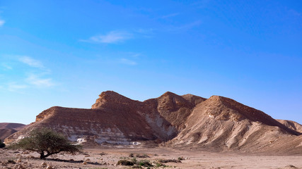 Mountains in the desert