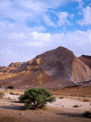 Mountains in the desert