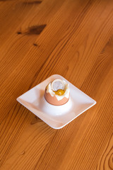 das Gelbe vom Ei, Nonplusultra, Geld, Reichtum, Eigelb, Dotter, Gewinn, optimal, das Beste, das Wertvollste, Eier, Chance, Eierpreise, Ei, Frühstücksei, Geld machen, Gewinnchance, Ostern, Ostereier