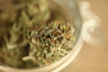 medical cannabis marijuana in a glass jar