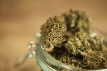 medical cannabis marijuana in a glass jar
