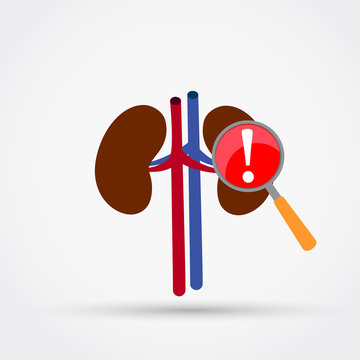 Attention! Kidneys disease vector icon.