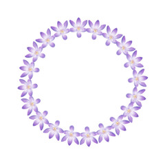 Watercolor violet crocus wreath isolated on a blank background