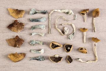 Psychoactive dry magic mushrooms.