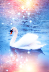 romantic  landscape with swan on river lake  in magical atmosphere of sunset © starblue