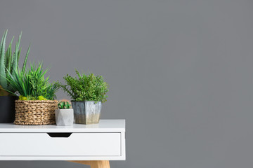 Stylish table with different houseplants on grey wall
