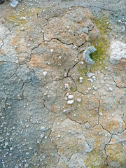 Surface of a grungy dry cracking parched earth