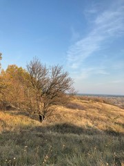 Fototapeta premium Autumn