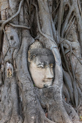 Wat Mahathat Tempelanlage in Ayutthaya, Thailand