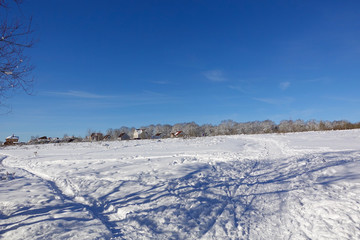 Fototapeta na wymiar Beautiful winter landscape. Village near the forest. Blue sky and snowy field. Frosty sunny day. Russia