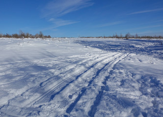 Fototapeta na wymiar Winter landscape. Snow-covered field. Car track in the snow Blue sky without clouds.