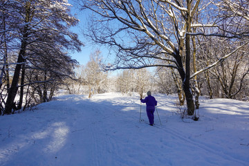 Skier in the winter forest. Ski walk. Beautiful winter day.