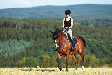 Young horse woman rides young horse on a harvested field in various gaits.
