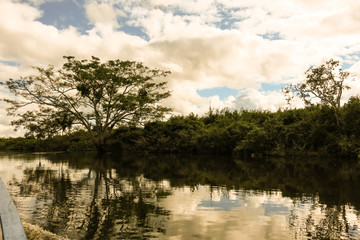 View of the Yacuma river, in the Bolivian jungle.