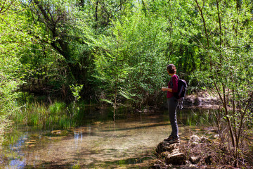 Fototapeta premium Karst submerged river, Doberdò lake