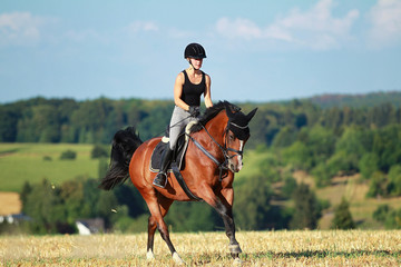 Young horse woman rides young horse on a harvested field in various gaits.