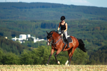 Young horse woman rides young horse on a harvested field in various gaits.