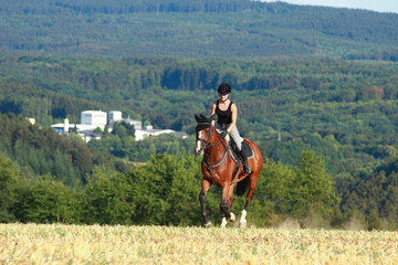 Young horse woman rides young horse on a harvested field in various gaits.