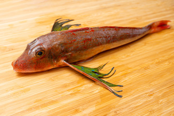 まな板の上のホウボウ