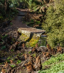 tourist trail through the park area; a small stream of water and a waterfall across the path were created; in the foreground old fern trunks