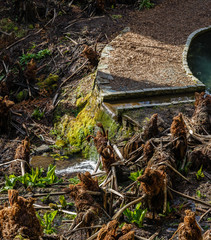 tourist trail through the park area; a small stream of water and a waterfall across the path were created; in the foreground old fern trunks
