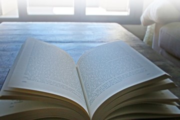 Placeres de la vida. Tiempo para descansar. Leyendo un libro en casa.