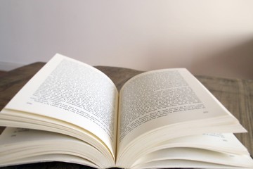 Obraz premium Placeres de la vida. Tiempo para descansar. Leyendo un libro en casa.