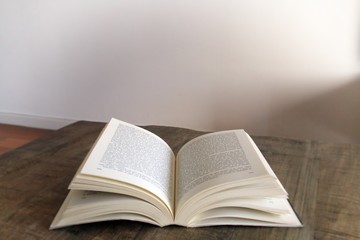 Placeres de la vida. Tiempo para descansar. Leyendo un libro en casa.