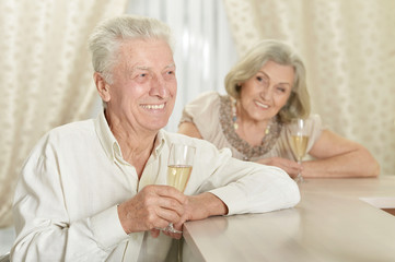 Portrait of happy senior couple resting at home
