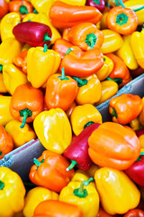 Close-up of yellow, orange and red colored bell peppers for sale in cartons at a farmer's outlet in Canada, British Columbia, Canada