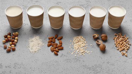 Vegan plant milk concept