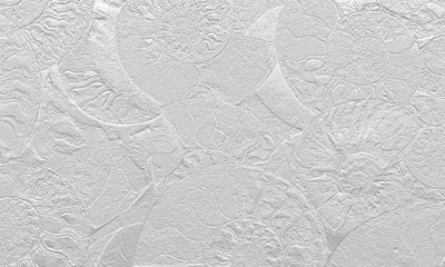 Abstract background of fossil Ammonites, Ammonoidea. Decorative wallpaper of petrified shells. Print from Spirals of seashells on white backdrop. Stamps of Cephalopoda mollusks on textured plaster. © Yulu