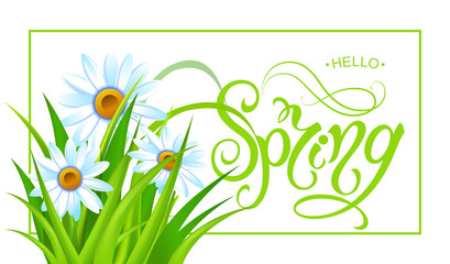 Spring time. Handwritten calligraphy lettering with grass background. Vector image.