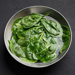 Fresh basil leaves in metal bowl on grey table