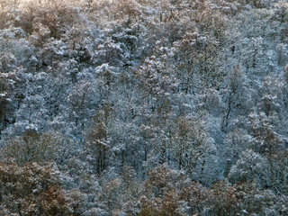 an aerial view of snow covered forest with hoarfrost covered trees in bright sunlight