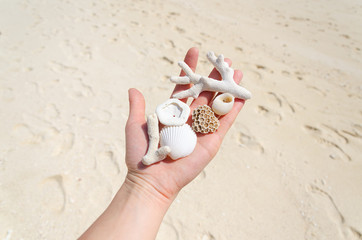 raccolta di coralli bianchi e conchiglie tailandia © Kateryna Kovarzh