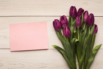 Colorful tulips and greeting card on white background, copy space
