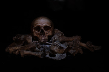 skull in the dark