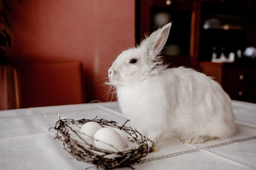 A white rabbit sitting in a rustic  basket with a napkin and easter eggs. Easter holiday card horizontal view with copyspace