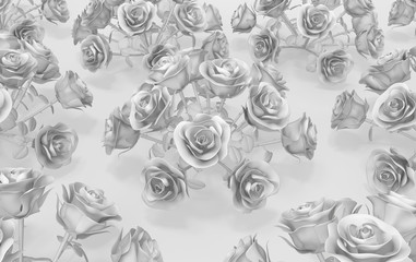 Rose Bushes White