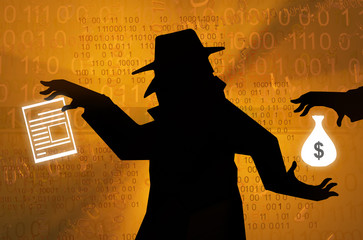 Virtual Spy Services Payment