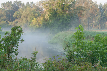 Rogalin Landscape Park - oxbow lake in the mist in sunrise-dawn