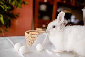 A white rabbit sitting in a rustic  basket with a napkin and easter eggs. Easter holiday card horizontal view with copyspace