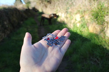 f&ecirc;te des m&egrave;res et des p&egrave;res