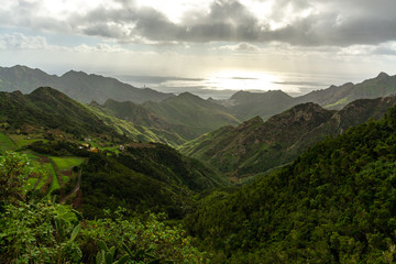 Fototapeta premium Green mountain slopes of Anaga National Park, Tenerife, Canary Islands, Spain