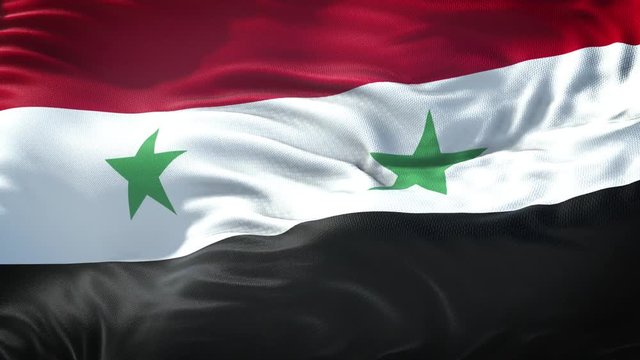 Flag of Syria Loop