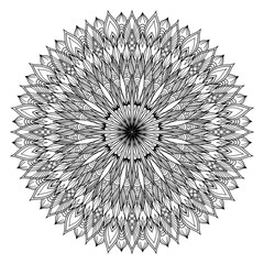 Mandala art illustration design background