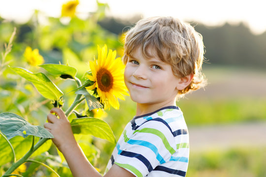 Portrait of beautiful little blond kid boy on summer sunflower field outdoors. Cute preschool child having fun on warm summer evening at sunset. Kids and nature