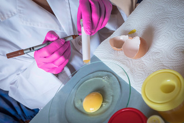 Scientist at laboratory investigates the crisis caused by the fraud of the contaminated eggs with...