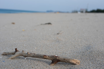 Close-up picture of broken and dried branch on a off-season sands beach